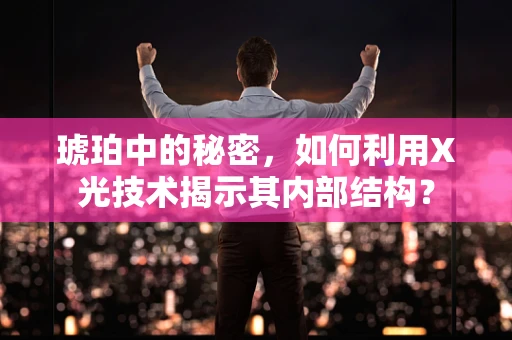 琥珀中的秘密，如何利用X光技术揭示其内部结构？