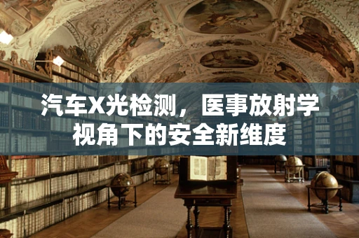 汽车X光检测，医事放射学视角下的安全新维度