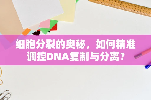 细胞分裂的奥秘，如何精准调控DNA复制与分离？