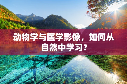 动物学与医学影像，如何从自然中学习？