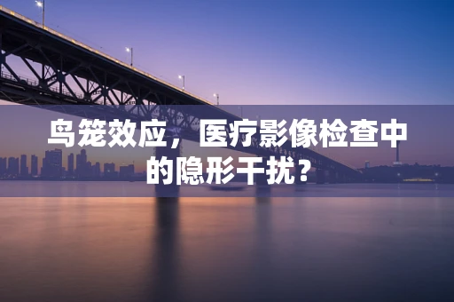 鸟笼效应，医疗影像检查中的隐形干扰？