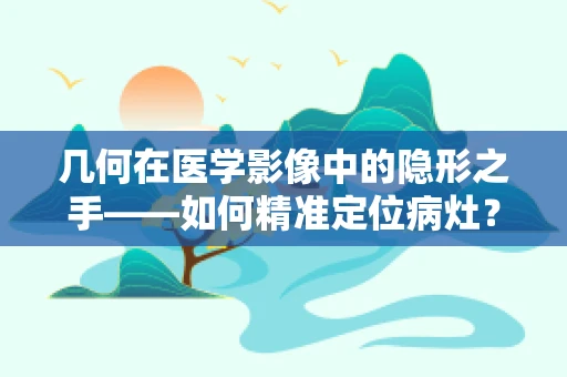 几何在医学影像中的隐形之手——如何精准定位病灶？