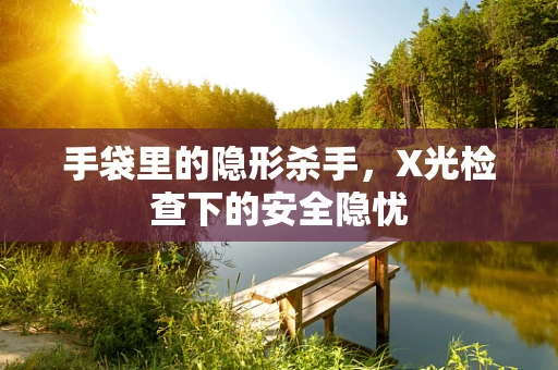 手袋里的隐形杀手，X光检查下的安全隐忧