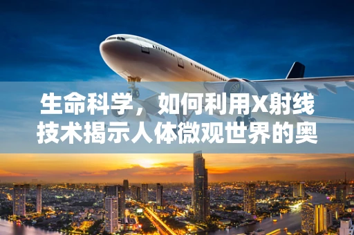 生命科学，如何利用X射线技术揭示人体微观世界的奥秘？