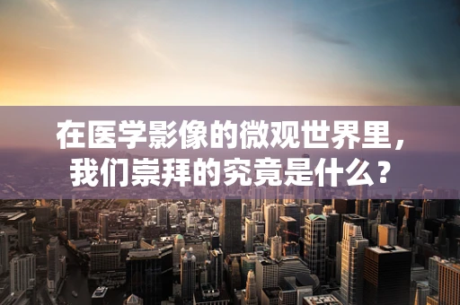 在医学影像的微观世界里，我们崇拜的究竟是什么？