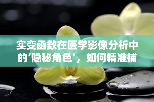 实变函数在医学影像分析中的‘隐秘角色’，如何精准捕捉微小变化？