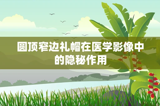 圆顶窄边礼帽在医学影像中的隐秘作用