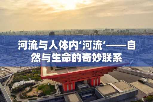 河流与人体内‘河流’——自然与生命的奇妙联系