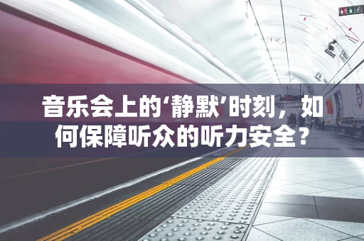 音乐会上的‘静默’时刻，如何保障听众的听力安全？