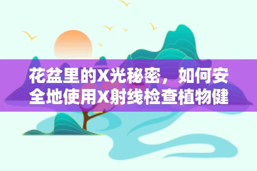 花盆里的X光秘密，如何安全地使用X射线检查植物健康？