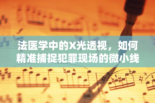 法医学中的X光透视，如何精准捕捉犯罪现场的微小线索？