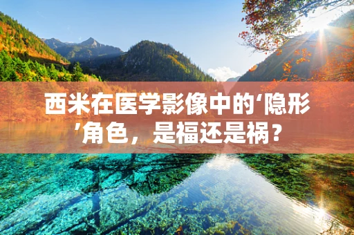 西米在医学影像中的‘隐形’角色，是福还是祸？