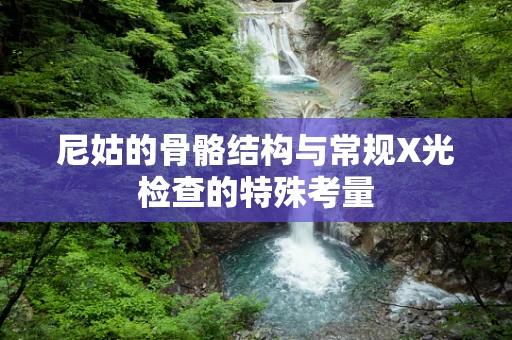 尼姑的骨骼结构与常规X光检查的特殊考量