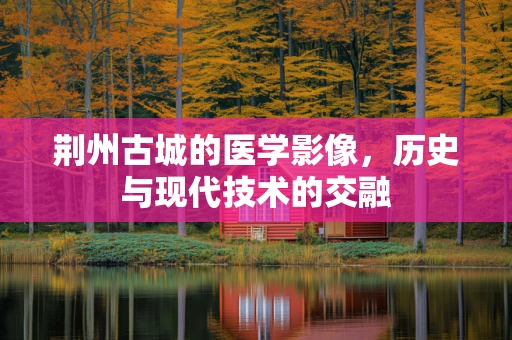 荆州古城的医学影像，历史与现代技术的交融