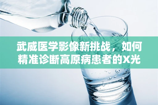 武威医学影像新挑战，如何精准诊断高原病患者的X光影像？