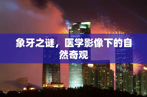 象牙之谜，医学影像下的自然奇观