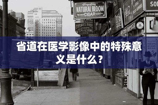 省道在医学影像中的特殊意义是什么？