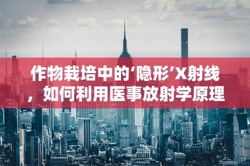 作物栽培中的‘隐形’X射线，如何利用医事放射学原理优化植物生长？