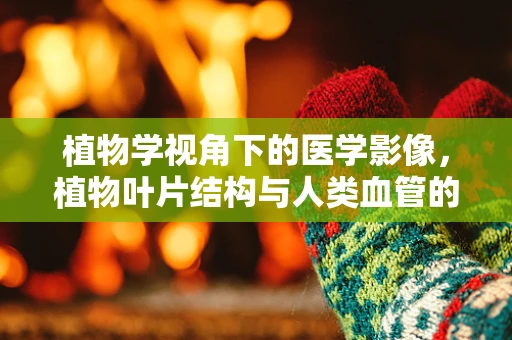 植物学视角下的医学影像，植物叶片结构与人类血管的异同