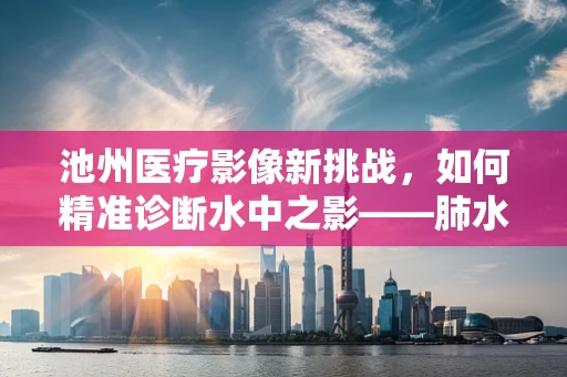 池州医疗影像新挑战，如何精准诊断水中之影——肺水肿的X光影像特征？