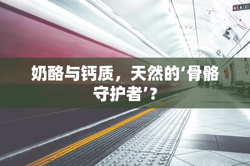 奶酪与钙质，天然的‘骨骼守护者’？