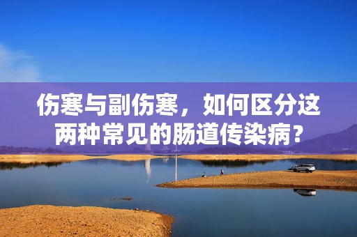 伤寒与副伤寒，如何区分这两种常见的肠道传染病？