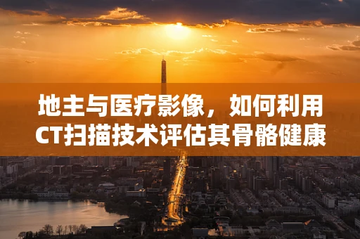 地主与医疗影像，如何利用CT扫描技术评估其骨骼健康？