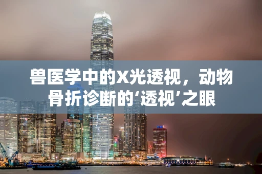 兽医学中的X光透视，动物骨折诊断的‘透视’之眼