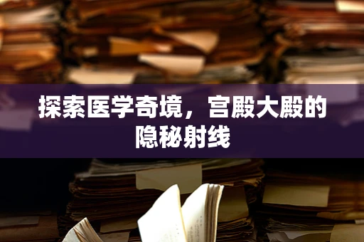 探索医学奇境，宫殿大殿的隐秘射线