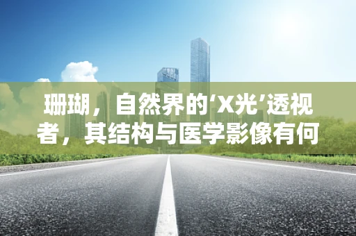 珊瑚，自然界的‘X光’透视者，其结构与医学影像有何异曲同工之处？