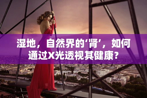 湿地，自然界的‘肾’，如何通过X光透视其健康？