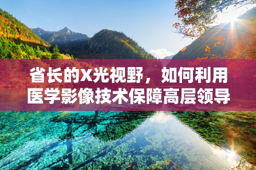 省长的X光视野，如何利用医学影像技术保障高层领导健康？