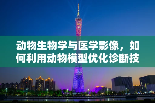 动物生物学与医学影像，如何利用动物模型优化诊断技术？