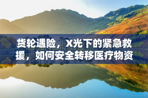 货轮遇险，X光下的紧急救援，如何安全转移医疗物资？