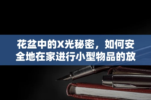 花盆中的X光秘密，如何安全地在家进行小型物品的放射检查？