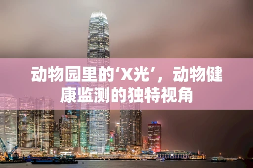 动物园里的‘X光’，动物健康监测的独特视角