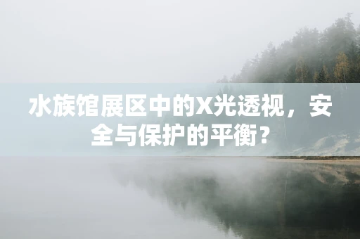 水族馆展区中的X光透视，安全与保护的平衡？