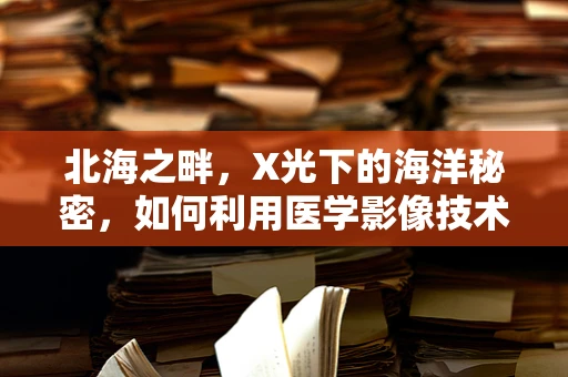 北海之畔，X光下的海洋秘密，如何利用医学影像技术守护海岛居民的健康？