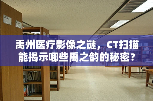禹州医疗影像之谜，CT扫描能揭示哪些禹之韵的秘密？