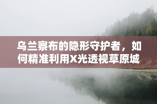 乌兰察布的隐形守护者，如何精准利用X光透视草原城市的健康密码？