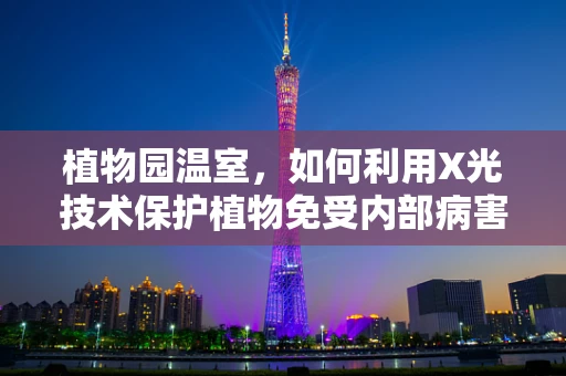 植物园温室，如何利用X光技术保护植物免受内部病害？