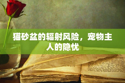猫砂盆的辐射风险，宠物主人的隐忧
