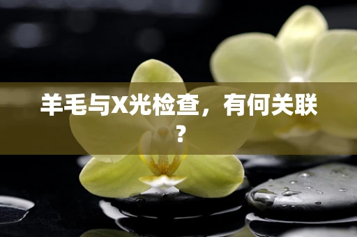 羊毛与X光检查，有何关联？