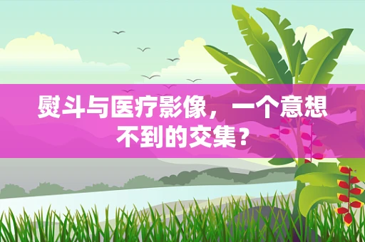 熨斗与医疗影像，一个意想不到的交集？