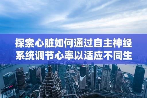 探索心脏如何通过自主神经系统调节心率以适应不同生理状态？