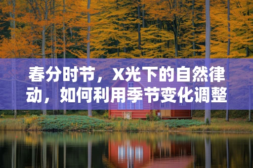 春分时节，X光下的自然律动，如何利用季节变化调整放射检查的精准度？