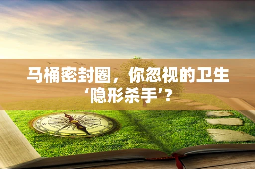 马桶密封圈，你忽视的卫生‘隐形杀手’？