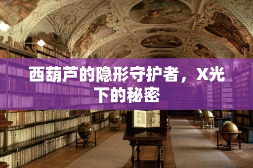 西葫芦的隐形守护者，X光下的秘密