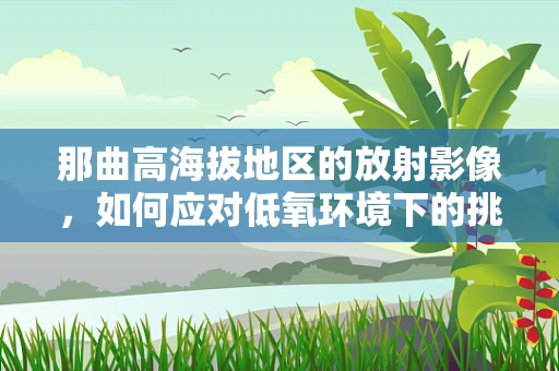 那曲高海拔地区的放射影像，如何应对低氧环境下的挑战？