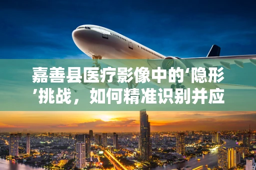 嘉善县医疗影像中的‘隐形’挑战，如何精准识别并应对？